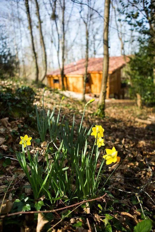 Cabane-spa Les Hauts de Monségu en Ariège Rimont Chalet